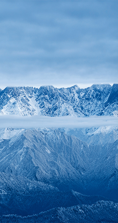 关于狮子会游戏